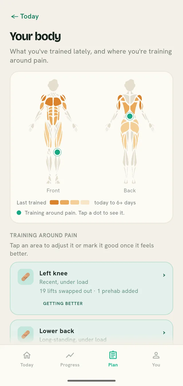 The Your body screen: front and back body outlines shaded by how recently each muscle was trained, with a dot on the left knee, which is being trained around.